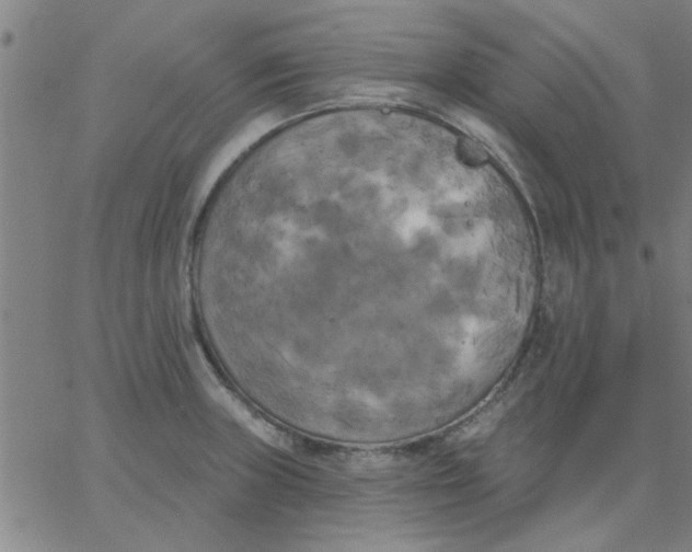 X0000067391235200604131923