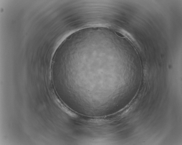 X0000067391236200604131923