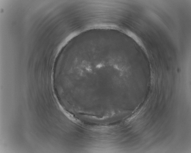 X0000067391237200604131923