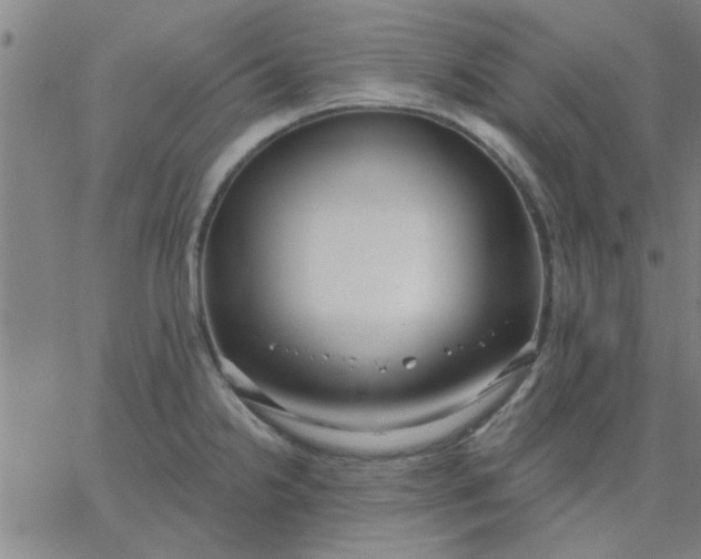 X0000067391238200604131923