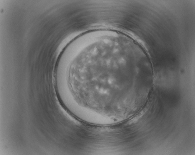 X0000067391239200604131923