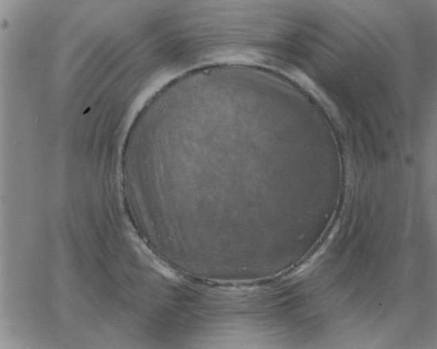 X0000067391240200604131923