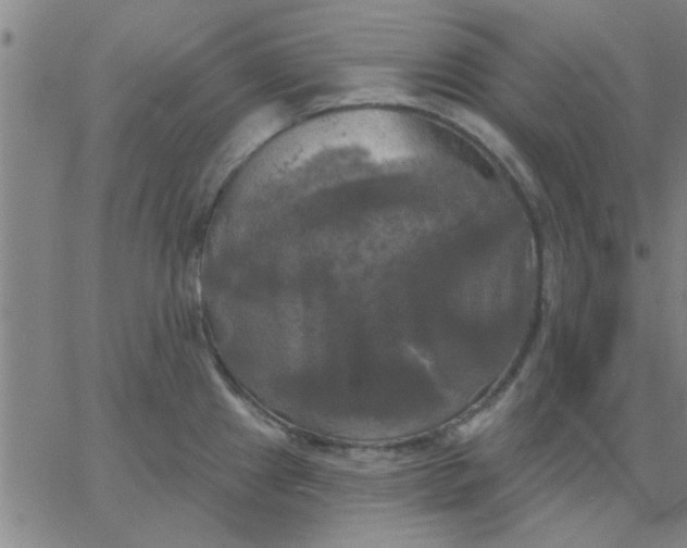 X0000067391241200604131924