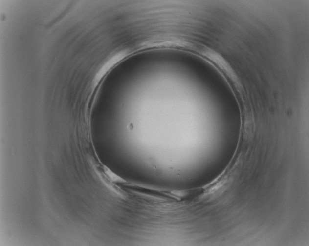 X0000067391242200604131924