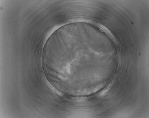 X0000067391244200604131924