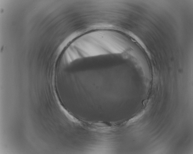 X0000067391245200604131924