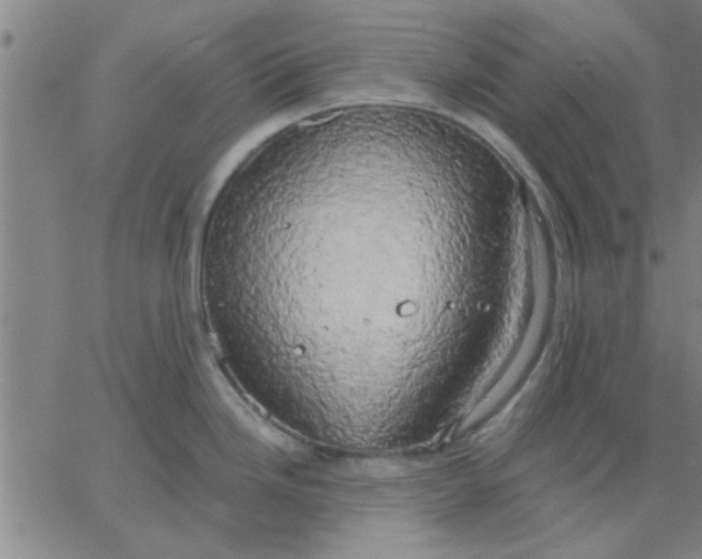 X0000067391246200604131924