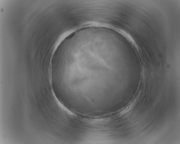 X0000067391247200604131924