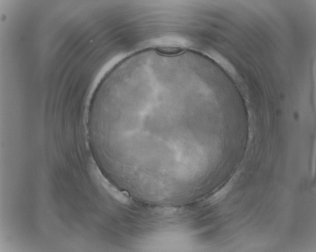 X0000067391248200604131924