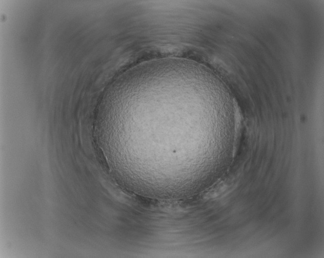 X0000067391249200604131923