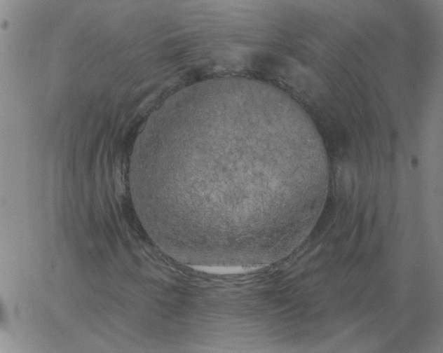 X0000067391250200604131923