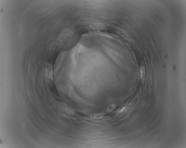 X0000067391251200604131923