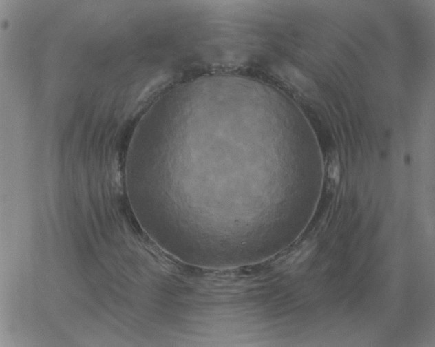 X0000067391252200604131923