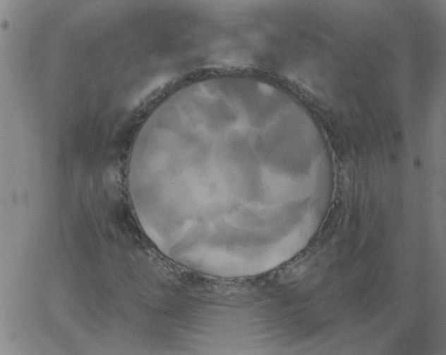 X0000067391254200604131923