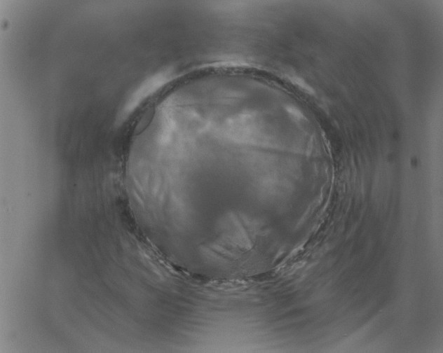 X0000067391255200604131923