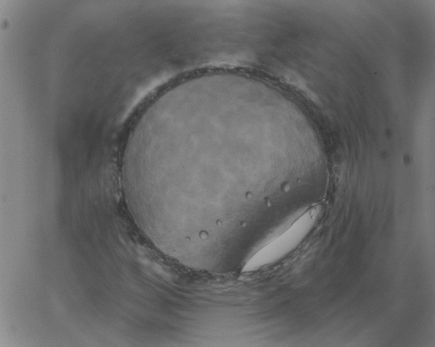 X0000067391256200604131923