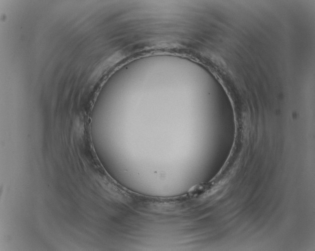 X0000067391257200604131923