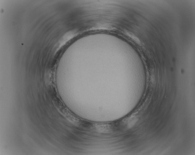 X0000067391258200604131923