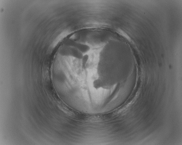 X0000067391259200604131923