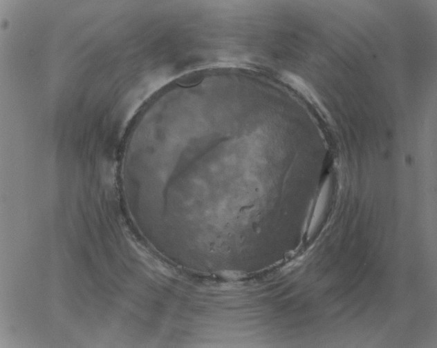 X0000067391260200604131923