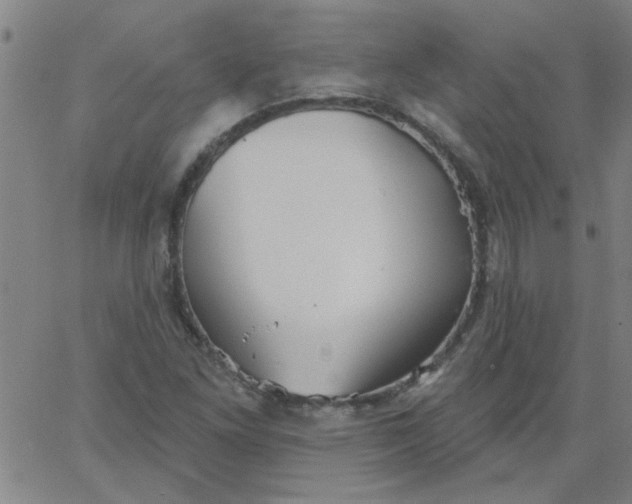 X0000067391261200604131923