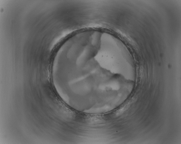 X0000067391262200604131923