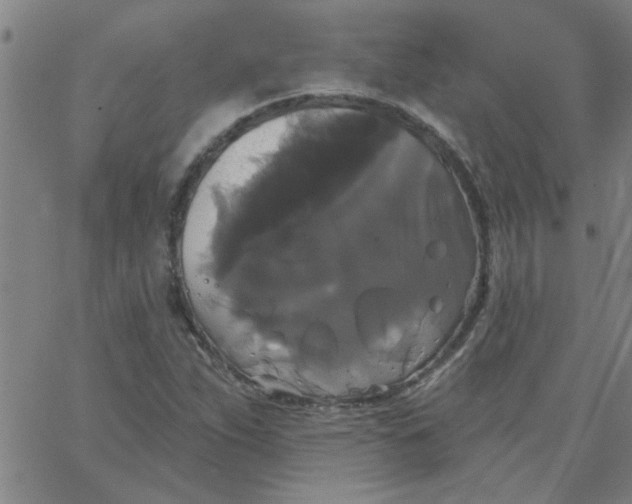 X0000067391263200604131923