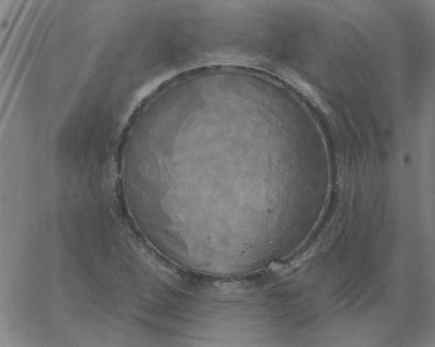 X0000067391264200604131923