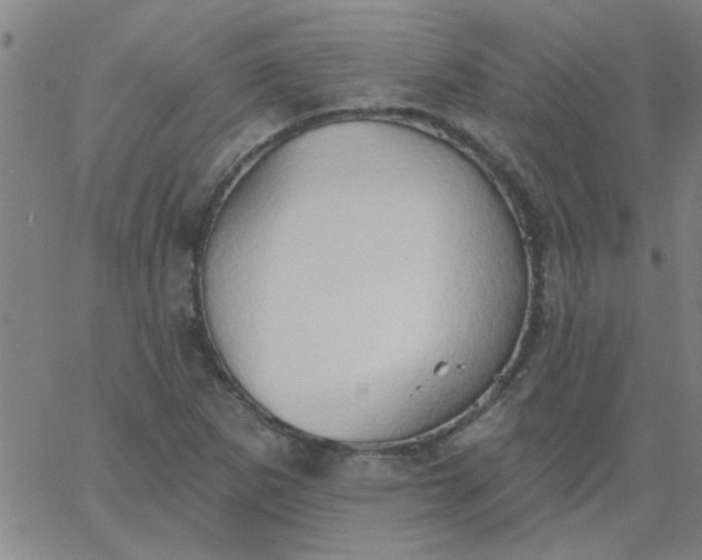 X0000067391265200604131923