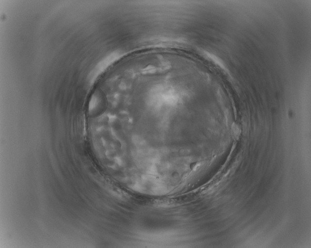 X0000067391267200604131923