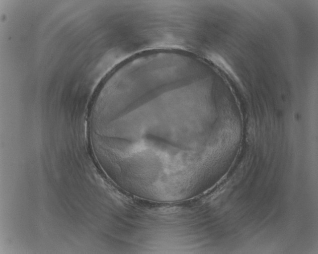 X0000067391268200604131923