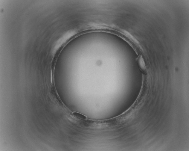 X0000067391269200604131923