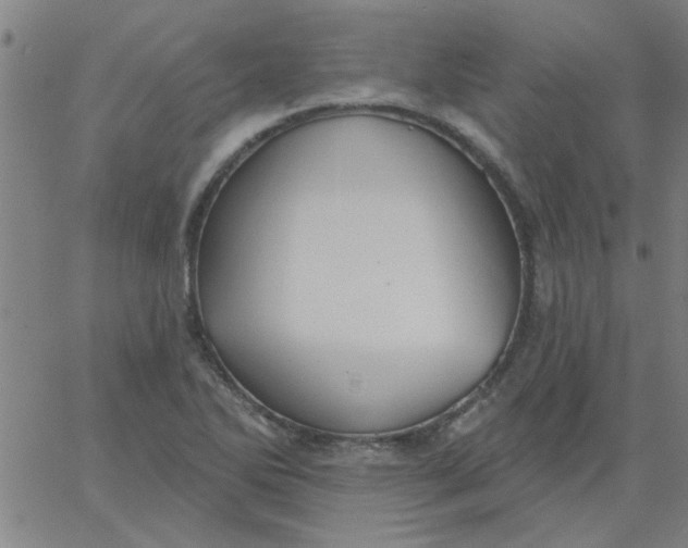 X0000067391270200604131923