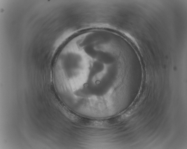 X0000067391271200604131922