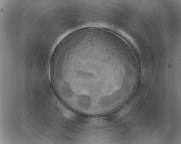 X0000067391272200604131922