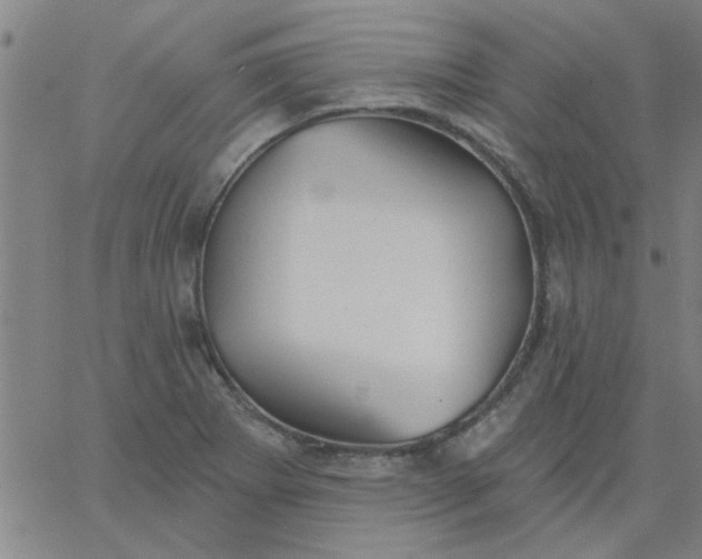 X0000067391273200604131922