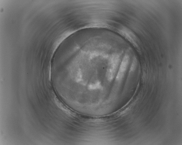 X0000067391276200604131922