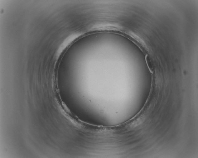 X0000067391277200604131922