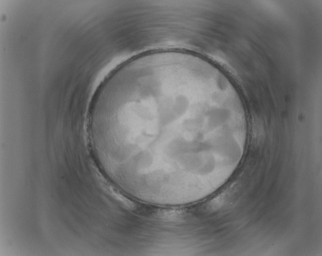 X0000067391278200604131922