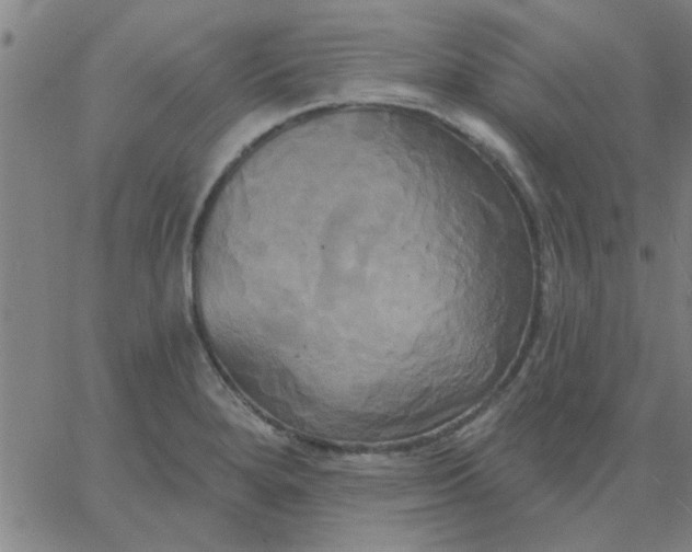 X0000067391280200604131922