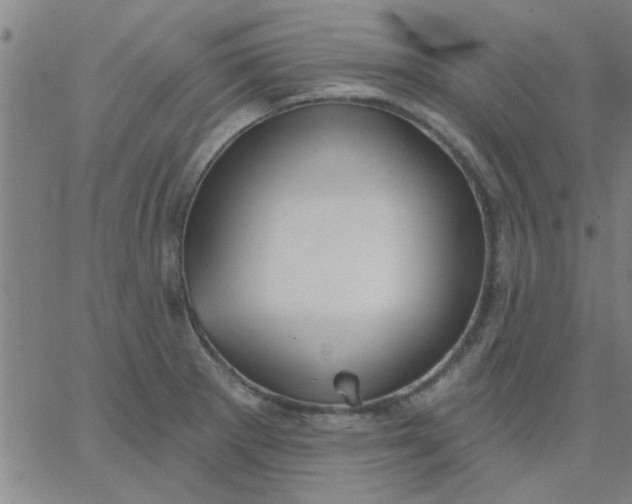 X0000067391281200604131922