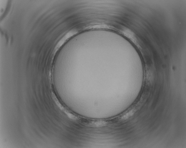 X0000067391282200604131922