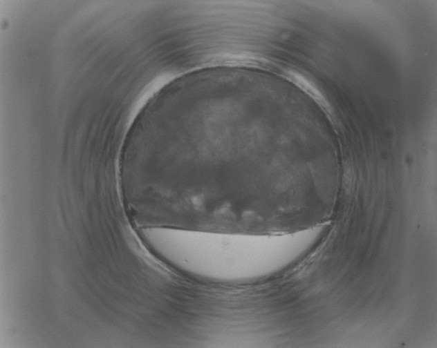 X0000067391283200604131922