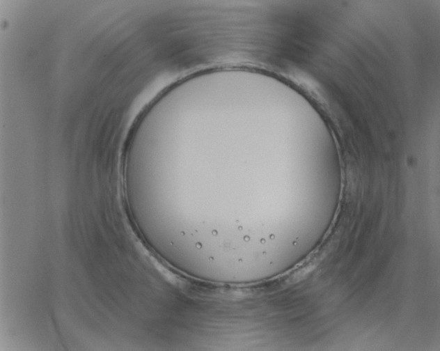 X0000067391286200604131922