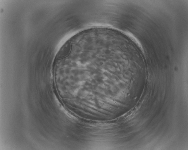 X0000067391287200604131922