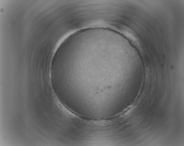 X0000067391288200604131922