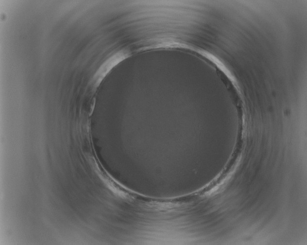 X0000067391289200604131922