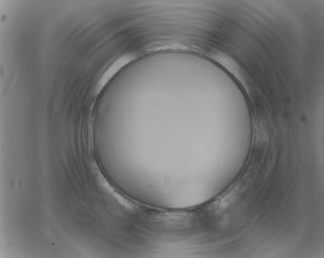 X0000067391290200604131922