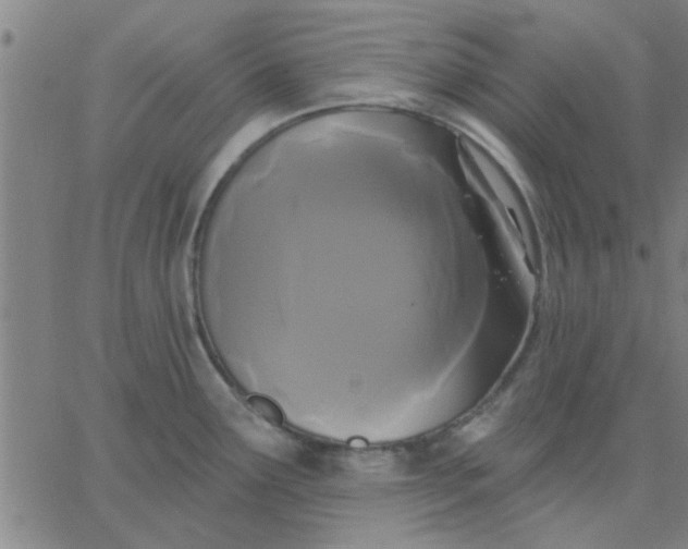 X0000067391291200604131922