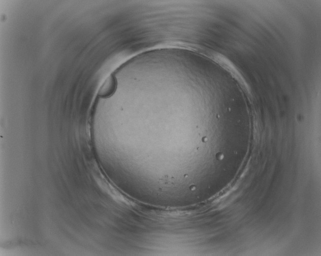 X0000067391292200604131922